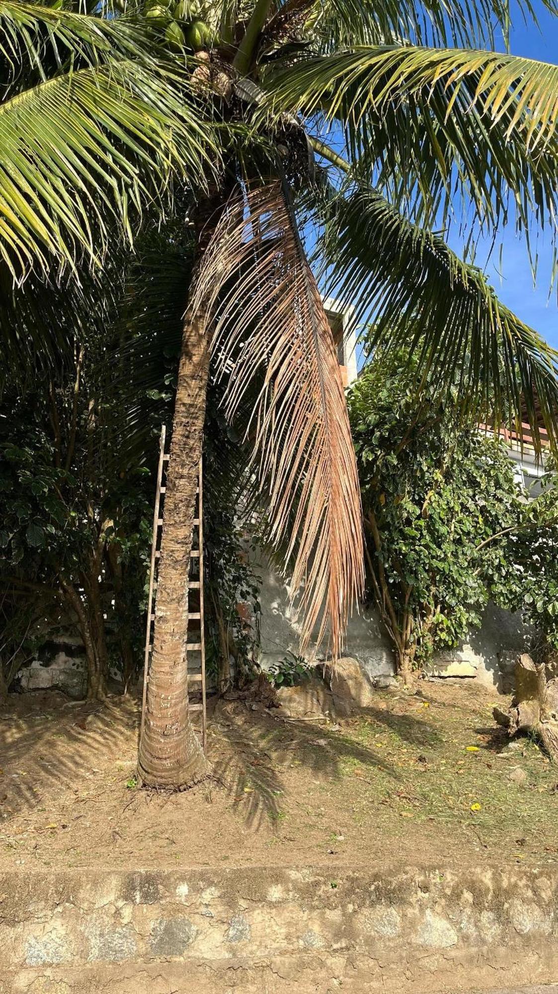 Escape Para O Paraiso, Casa Mobiliada Com Piscina E Salao De Jogos, 300Mt Da Praia Arraial do Cabo Rum bild
